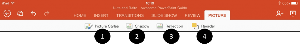 PowerPoint for iPad Pictures Tab Icons