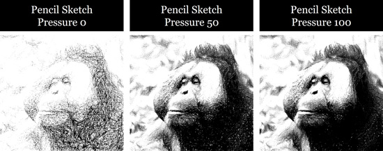 Examples of the Pencil Sketch effect when converting your photos to a sketch inside PowerPoint