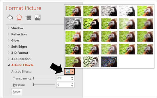 Adjusting the artistic effect of your photo in PowerPoint