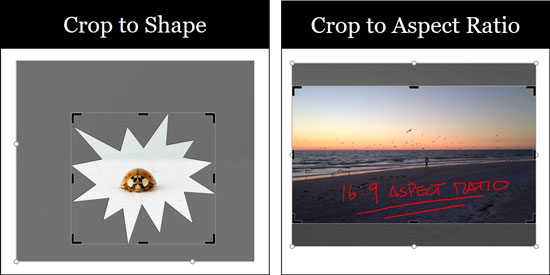 Examples of cropping an image to a shape vs. cropping an image to an aspect ratio in PowerPoint