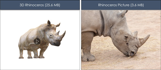 Example of using a picture of a rhinoceros instead of the 3D model of a rhinoceros to reduce your PowerPoint file size