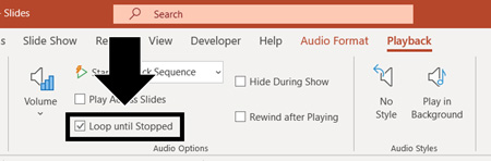 To keep your music playing, even when the song ends, on the playback tab select loop until stopped