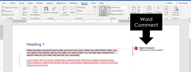 Example of a comment added to a Microsoft Word document