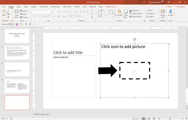 A picture placeholder in PowerPoint can only take an image or an icon