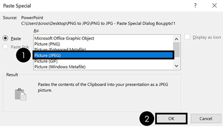 In the paste special dialog box, choose the JPEG file format and click ok