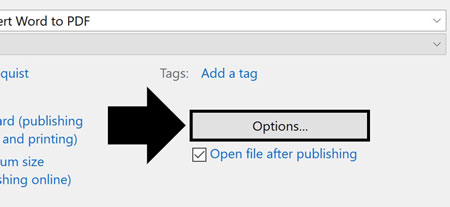 In the Save As dialog box, click options to save your PDF using advanced features
