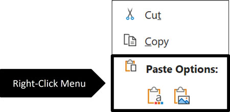 The Paste Options in the right-click menu display as icons
