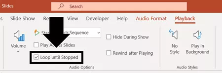 To keep your music playing, even when the song ends, on the playback tab select loop until stopped